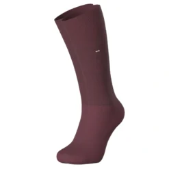 PAIRE DE CHAUSSETTES A RAYURES DISCRETES BORDEAUX EP1733A1000 - EDEN PARK